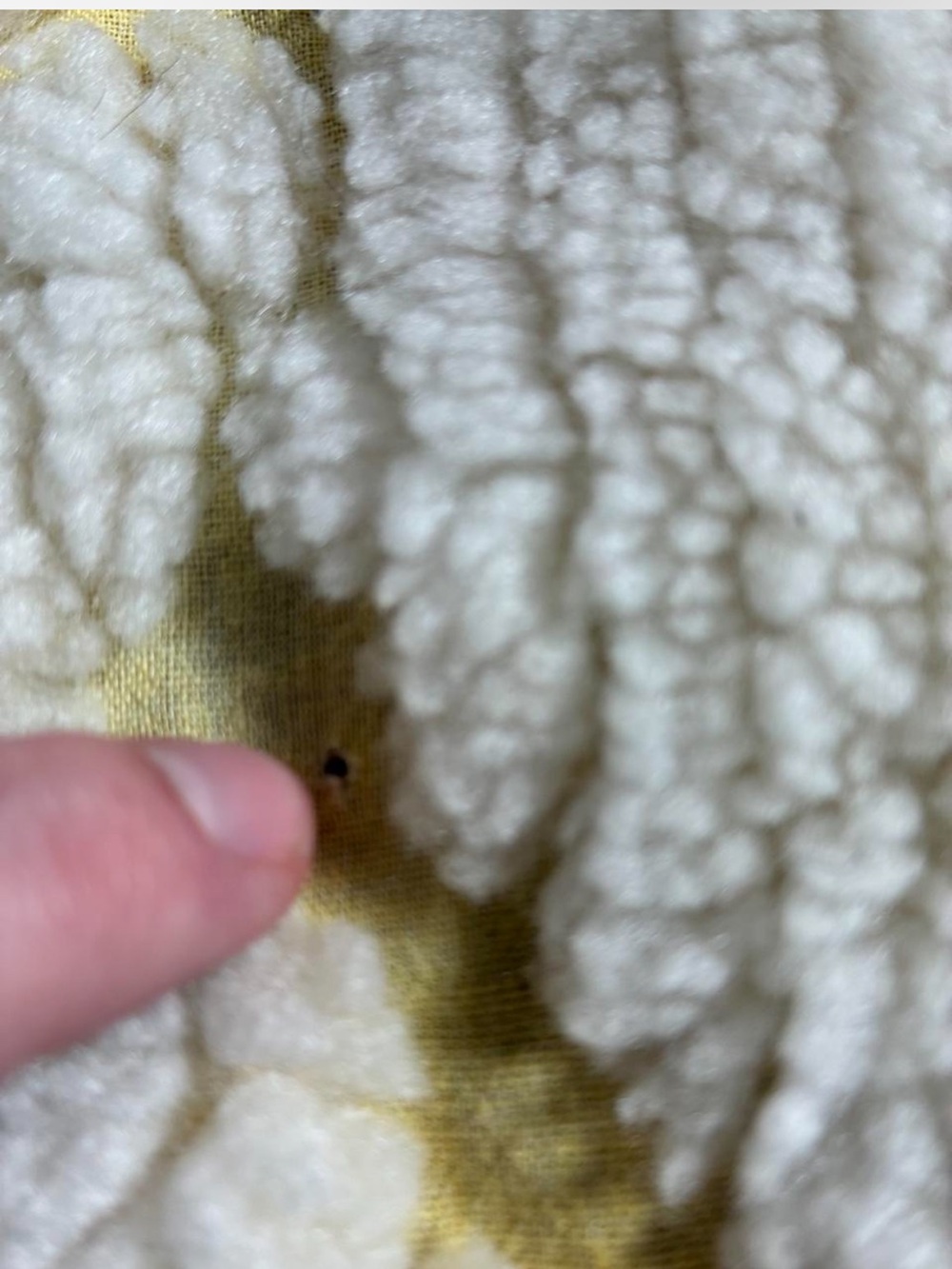 Vintage Chenille Floral Bed Spread White Butter Yellow Fringe Trim Full/Queen - Picture 6 of 8